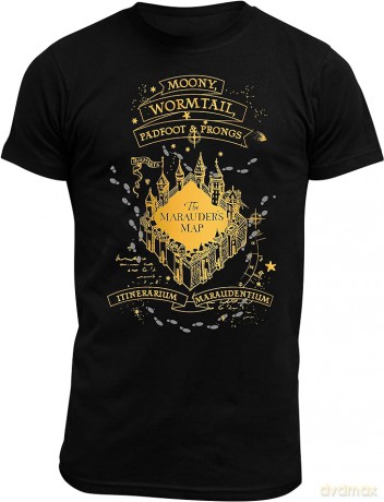 HARRY POTTER - T-shirt The Marauders man SS black - basic
