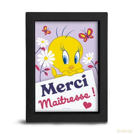 LOONEY TUNES - Frame - MERCI MAÎTRESSE x8