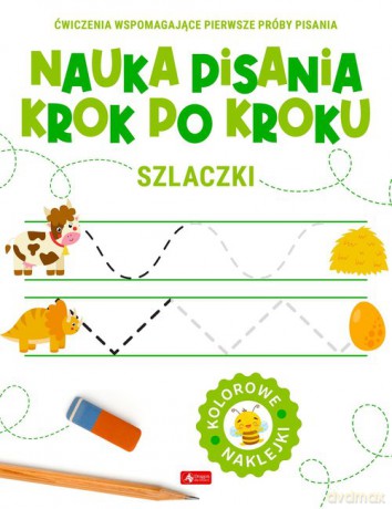 Nauka pisania krok po kroku. Szlaczki [KSIĄŻKA]