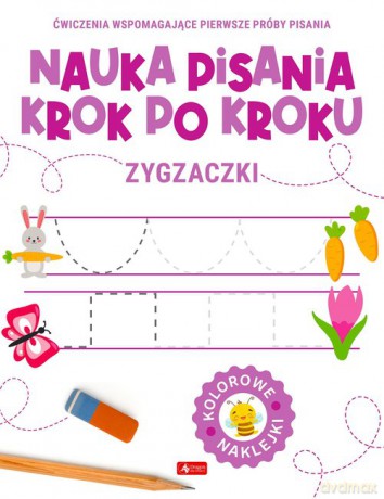 Nauka pisania krok po kroku. Zygzaczki [KSIĄŻKA]