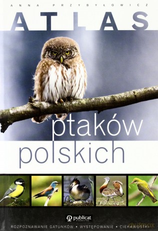 Atlas Ptaków Polskich (twarda) - Anna Przybyłowicz [KSIĄŻKA]
