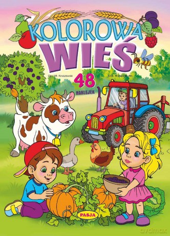 Kolorowa wieś - Włodzimierz Kruszewski, Mariola Budek [KSIĄŻKA]