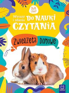Wyrazy i zdania do nauki czytania. Duże litery. Zwierzęta domowe - Monika Basiejko [KSIĄŻKA]