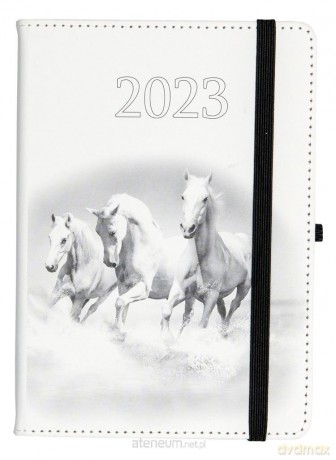 Kalendarz 2023 B6 dzienny Jazz konie [KALENDARZ]