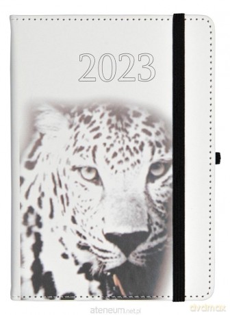 Kalendarz 2023 B6 dzienny Jazz tygrys [KALENDARZ]