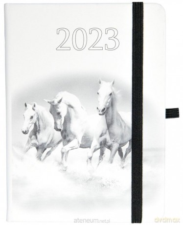 Kalendarz 2023 B6 tygodniowy Hip hop konie [KALENDARZ]