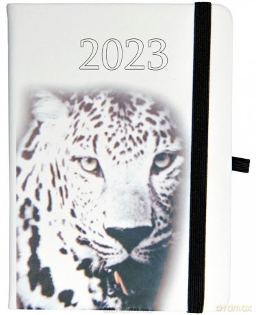 Kalendarz 2023 B6 tygodniowy Hip hop tygrys [KALENDARZ]