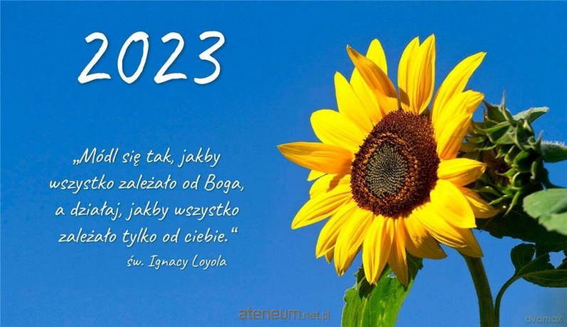 Kalendarz 2023 trójdzielny - Słonecznik [KALENDARZ]