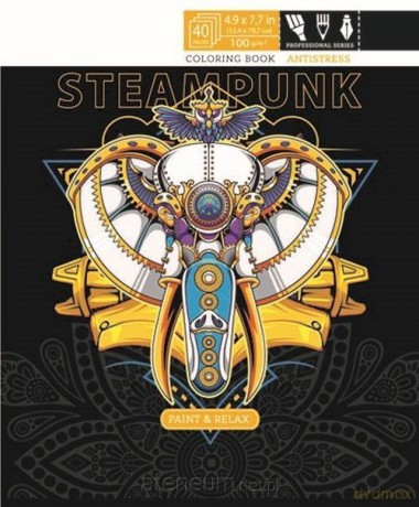 Kolorowanka antystresowa 124x197 20 Steampunk [KSIĄŻKA]