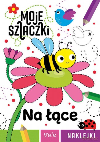 Na łące. Moje szlaczki [KSIĄŻKA]