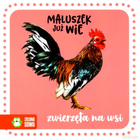 Zwierzęta na wsi. Maluszek już wie [KSIĄŻKA]