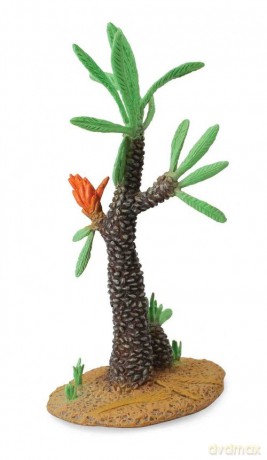 Drzewo Williamsonia XL