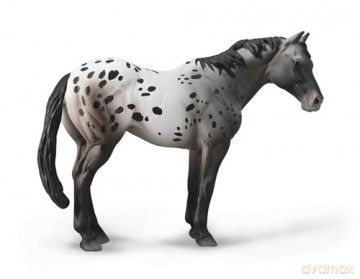 Niebieski Deresz Appaloosa