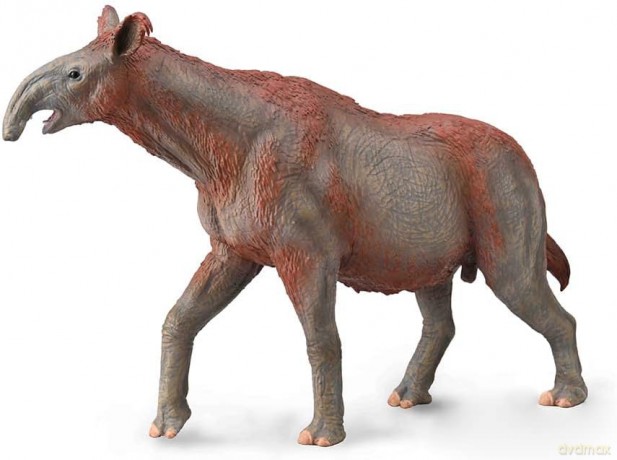 Paracera Therium