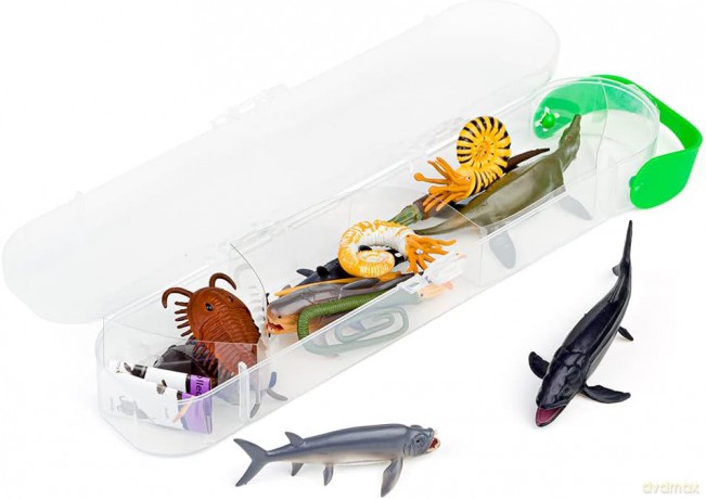 Prehistoric animals Box mini