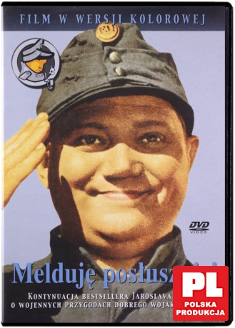 Melduję posłusznie! [DVD]