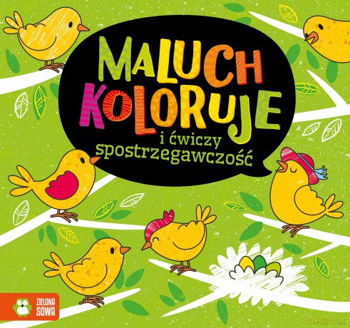 Maluch koloruje i ćwiczy spostrzegawczość [KSIĄŻKA]