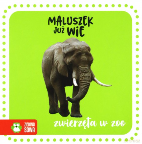Zwierzęta w zoo. Maluszek już wie [KSIĄŻKA]