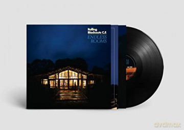 Rolling Blackouts Coastal Fever: Endless Rooms [Winyl]