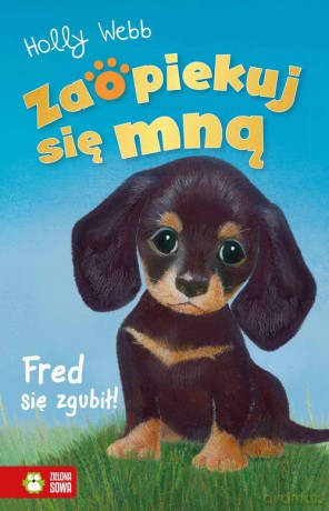 Zaopiekuj się mną Fred się zgubił - Holly Webb [KSIĄŻKA]