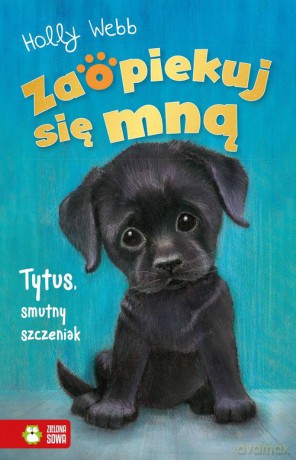 Zaopiekuj się mną. Tytus, smutny szczeniak - Holly Webb [KSIĄŻKA]