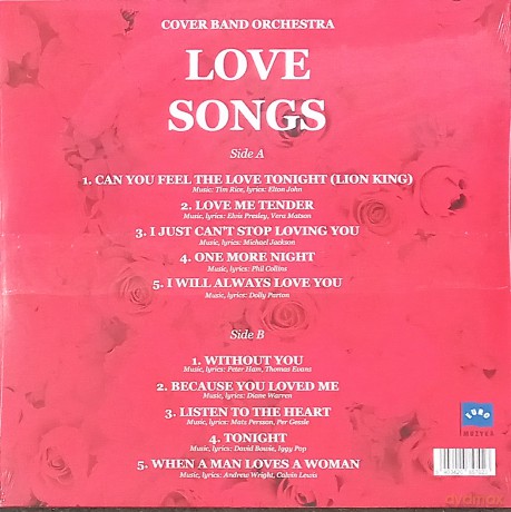 Cover Band Orchestra Love Songs [Winyl]