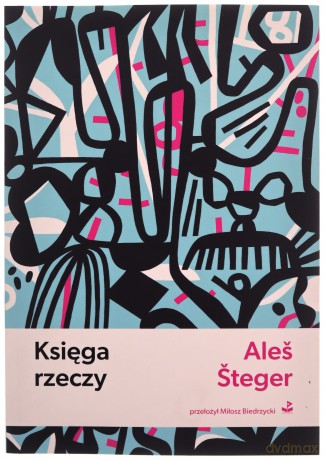 Księga rzeczy - Ales Steger [KSIĄŻKA]