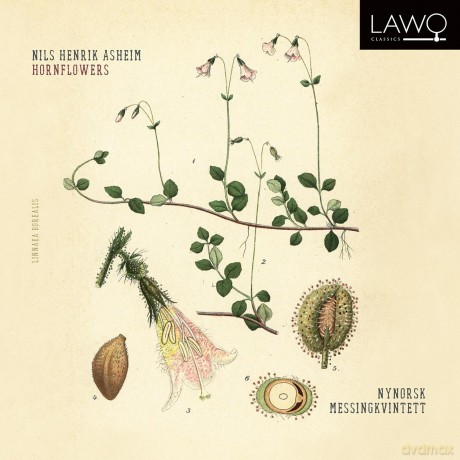 NyNorsk Messingkvintett: Nils Henrik Asheim: Hornflowers [CD]