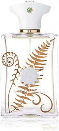 Amouage Bracken Man - EDP - Volume: 100 ml for men