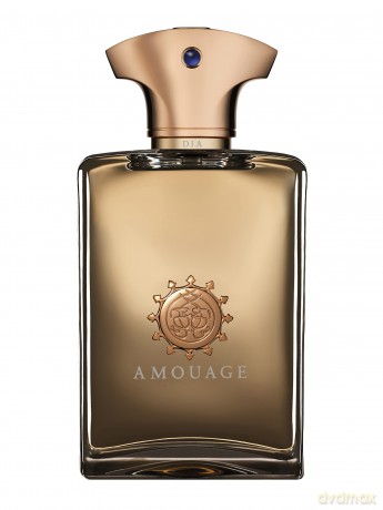 Amouage Dia Pour Homme - EDP - Volume: 100 ml for men