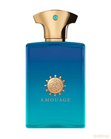 Amouage Figment Man - EDP - Volume: 100 ml for men