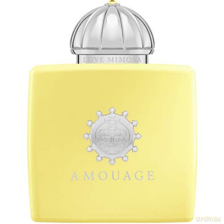 Amouage Mimosa Love - EDP - Volume: 100 ml for women