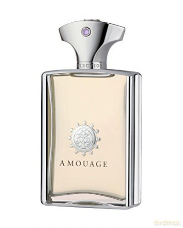 Amouage Reflection Man - EDP - Volume: 100 ml for men