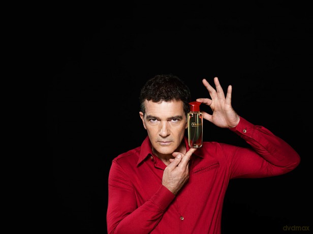 Antonio Banderas Diavolo Men - EDT - Volume: 50 ml for men