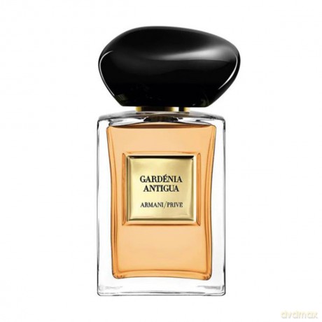 Armani Privé Gardénia Antigua - EDT - Volume: 50 ml unisex