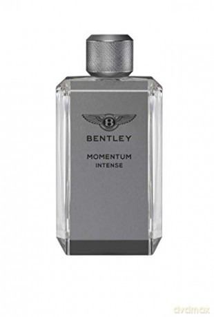 Bentley Momentum Intense - EDP - Volume: 60 ml for men
