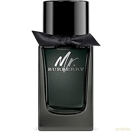 Burberry Mr. Burberry - EDP - Volume: 100 ml for men