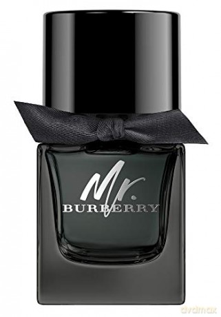 Burberry Mr. Burberry - EDP - Volume: 50 ml for men