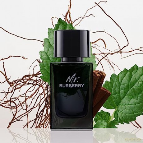 Burberry Mr. Burberry - EDP - Volume: 50 ml for men