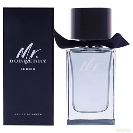 Burberry Mr. Burberry Indigo - EDT - Volume: 100 ml for men