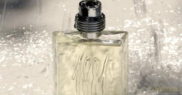 Cerruti 1881 Man - EDT - Volume: 50 ml for men