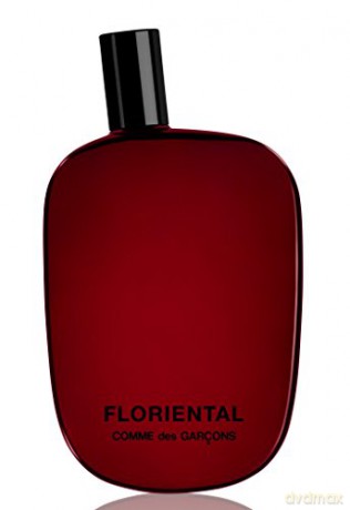 Comme des Garçons Floriental - EDP - Volume: 100 ml unisex
