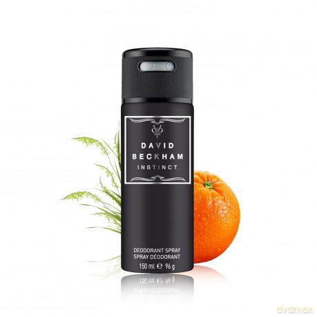 David Beckham Instinct - deodorant spray - Volume: 150 ml for men
