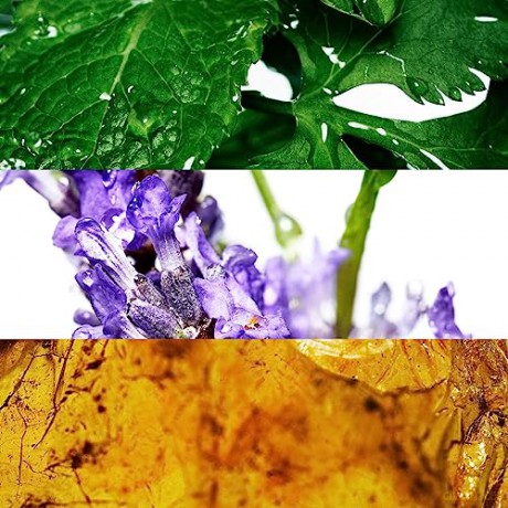 Davidoff Cool Water Man - solid deodorant - Volume: 75 ml for men