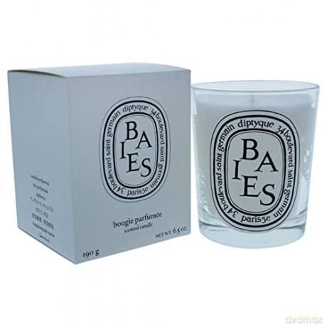 Diptyque Baies - candle 190 g unisex