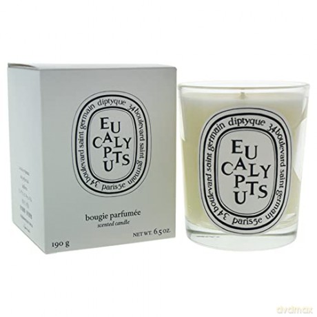 Diptyque Eucalyptus - candle 190 g unisex