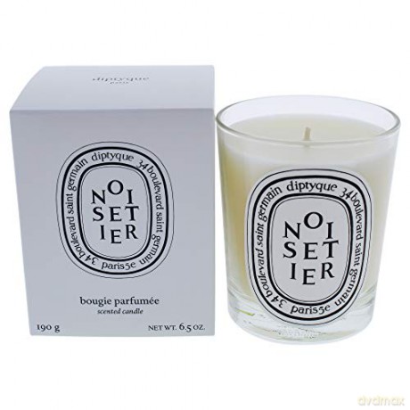 Diptyque Noisetier - candle 190 g unisex