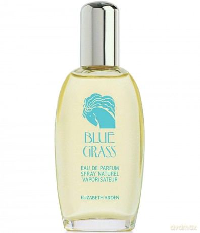 Elizabeth Arden Blue Grass - EDP - Volume: 100 ml for women