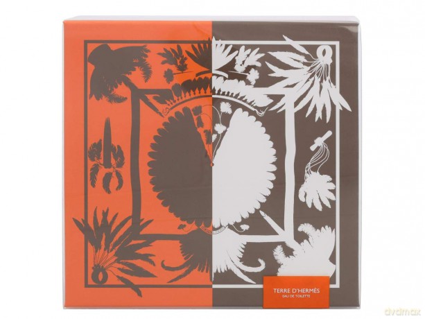Hermes Terre D´ Hermes - EDT 50 ml + shower gel 40 ml for men