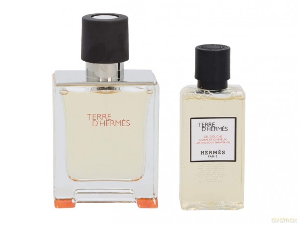Hermes Terre D´ Hermes - EDT 50 ml + shower gel 40 ml for men